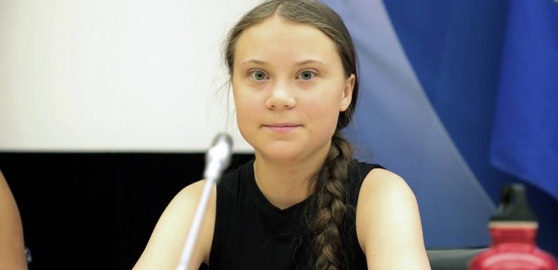 Climat: A l’Assemblée, Greta Thunberg ironise face aux attaques
