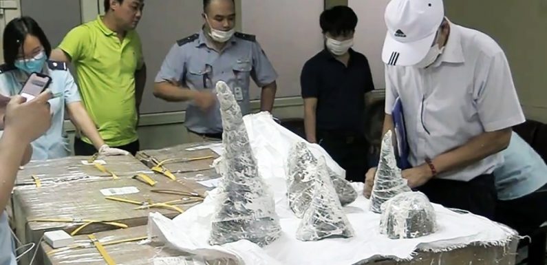 Vietnam: Saisie de 125 kilos de corne de rhinocéros