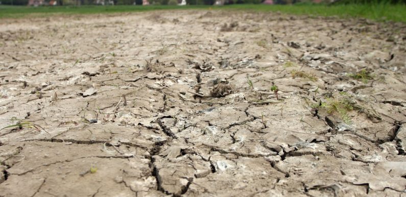 Climat: En 2.000 ans, les températures n’ont jamais augmenté aussi rapidement et régulièrement qu’actuellement
