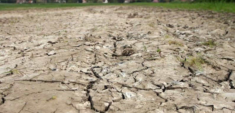 Pas-de-Calais: Le département placé en alerte sécheresse