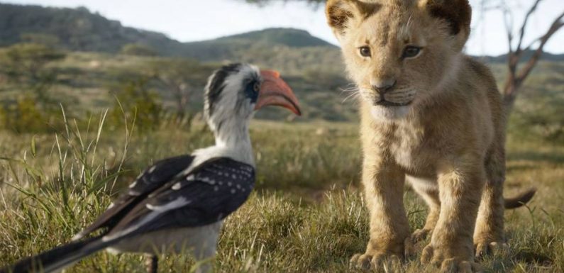 «Le Roi lion»: Pourquoi allez-vous voir le remake «live» du dessin animé de Disney?