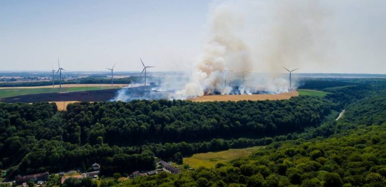 Canicule: 6.500 hectares incendiés à travers la France jeudi