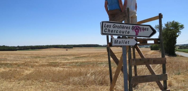 Querelle des bassines: Dans la Sèvre Niortaise, la guerre de l’eau a déjà commencé