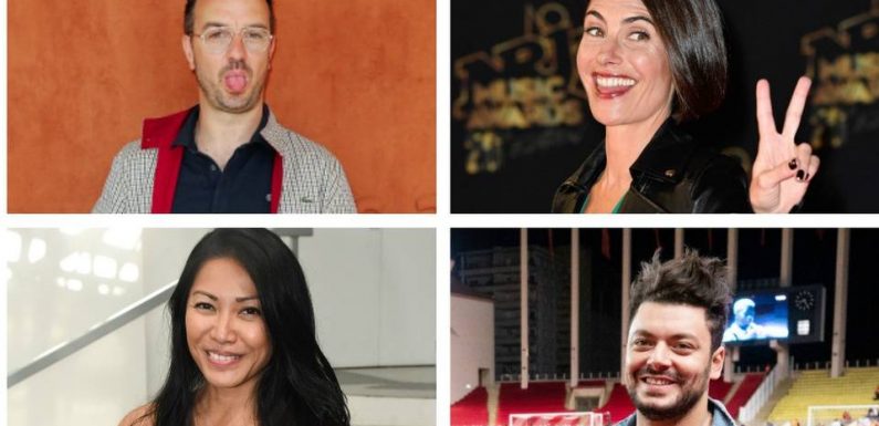 «Mask Singer»: Kev Adams, Anggun, Alessandra Sublet et Jarry seront les jurés du jeu de TF1