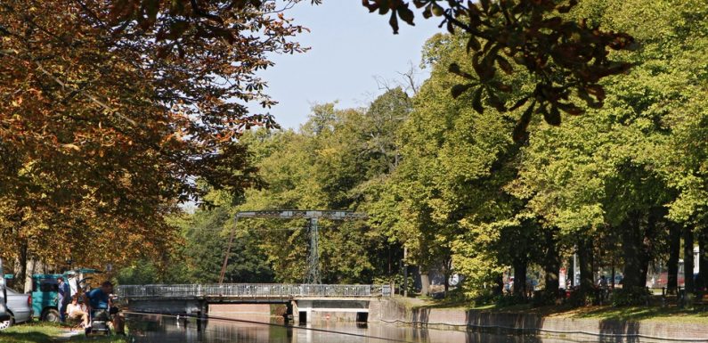 Lille: Deux mineurs, dont l’un âgé de 11 ans, interpellés pour viol et vol en réunion