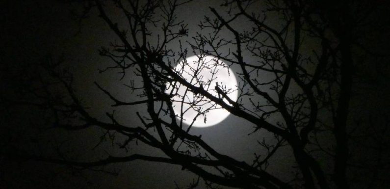 50 ans de l’homme sur la Lune: La Lune a-t-elle vraiment des effets sur notre humeur?