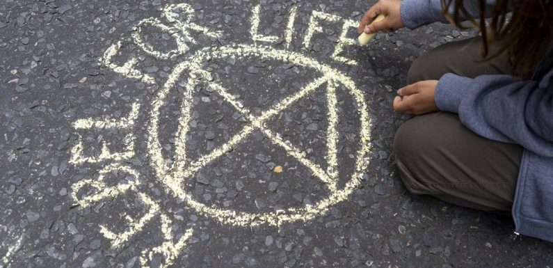 Climat: Plus de 160 défenseurs de l’environnement tués en 2018