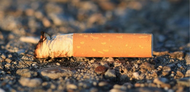 Lyon: La ville se met à recycler les mégots de cigarette