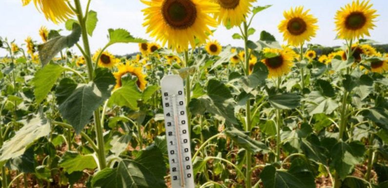 Canicule: Ça va encore chauffer mercredi mais le pire est pour jeudi