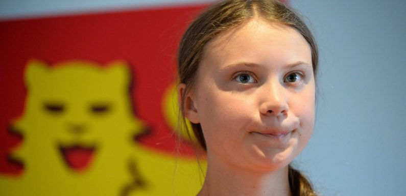 Greta Thunberg à l’Assemblée nationale: des députés LR, LREM et RN affichent leur scepticisme