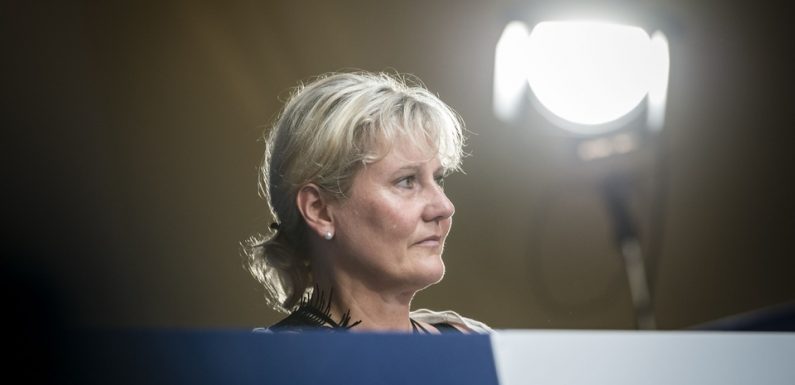 Castaner, Benalla, Darmanin… Clashs à tout-va après le tweet jugé raciste de Nadine Morano