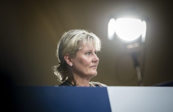 Castaner, Benalla, Darmanin… Clashs à tout-va après le tweet jugé raciste de Nadine Morano