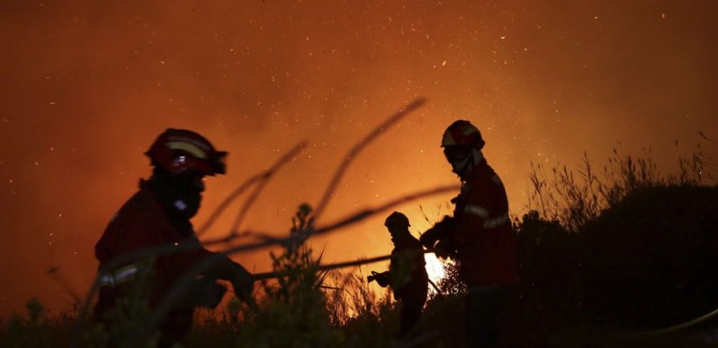 Portugal: Plus de 900 pompiers luttent contre des feux de forêt