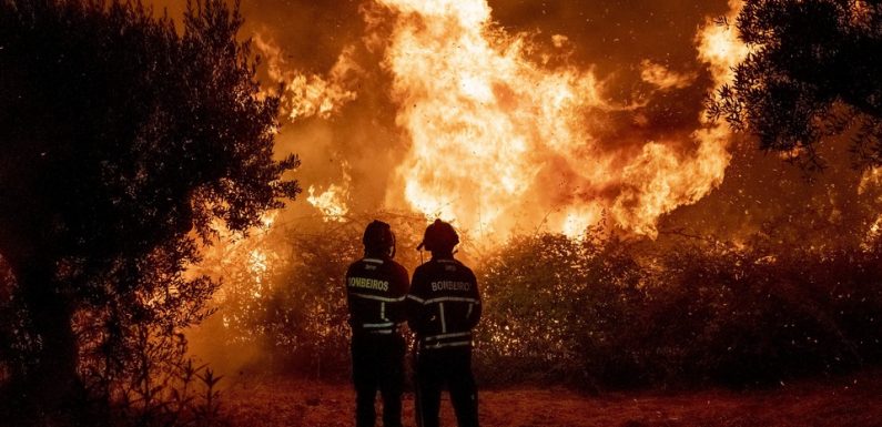 Portugal: Plus de 1.700 pompiers mobilisés pour lutter contre un incendie d’une «extraordinaire difficulté»