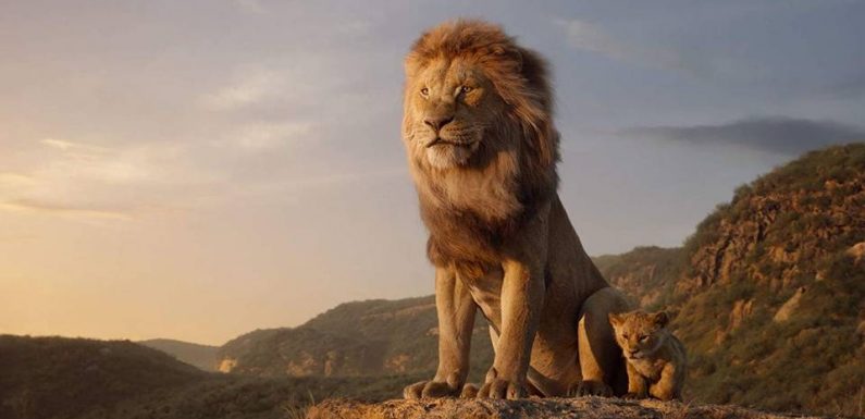 «Le Roi Lion»: Mais pourquoi les remake en live action de Disney fonctionnent-ils si bien?