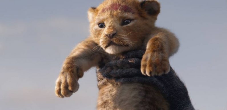 Disney bat son propre record de recettes de 2016 au box-office avant même la sortie de «Star Wars»