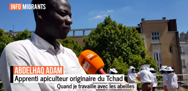 Paris : ces migrants qui apprennent l’apiculture sur les toits pour s’intégrer