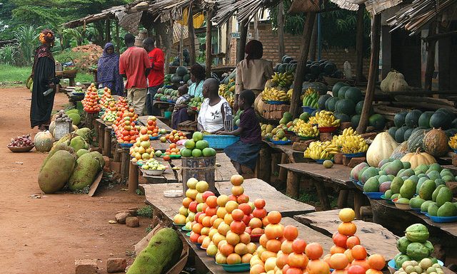 Enjeux et défis de la mise en œuvre de la zone de la zone de libre-échange africaine