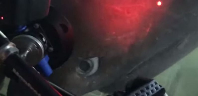 Un requin préhistorique filmé en pleine attaque au large de la Floride
