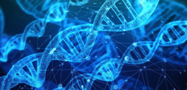 LOCKR : cette protéine totalement artificielle reprogramme des cellules pour les guérir