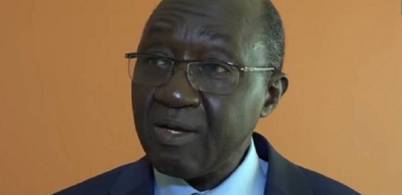 Quand les historiens européens soutenaient que les Africains n’avaient rien apporté au patrimoine universel