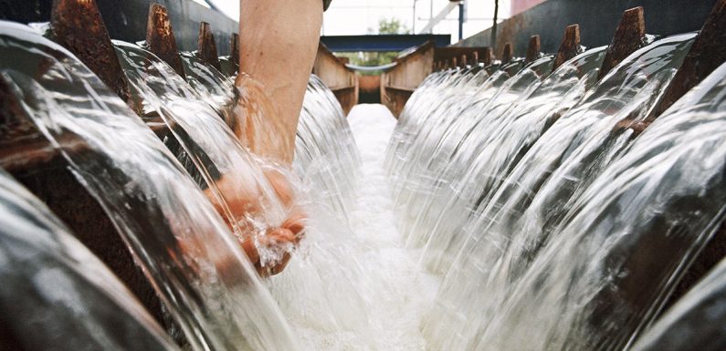 Des solutions pour une eau plus propre