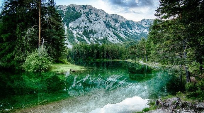 En Autriche, le lac Vert est totalement transparent et éphémère