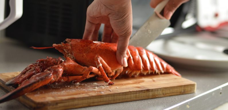 La symbolique du homard