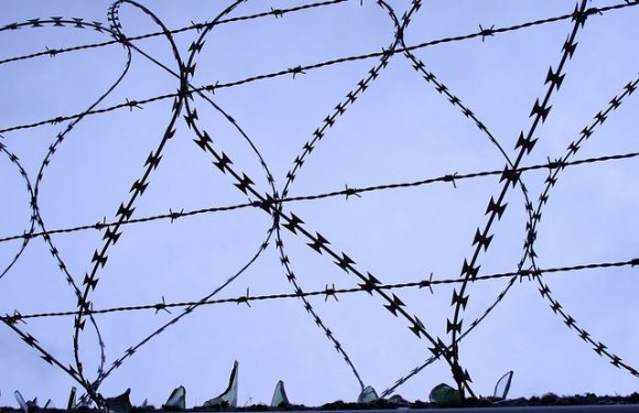 Accord de libre-échange UE-Mercosur : la folie du protectionnisme