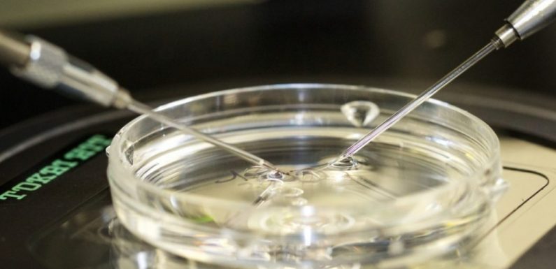 La loi de bioéthique n’ouvre pas la boîte de Pandore : celle-ci est déjà ouverte depuis 1975