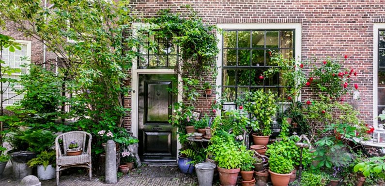 Bruxelles verse une prime aux habitants qui végétalisent leur façade