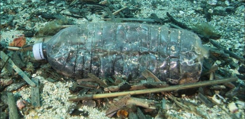 La Méditerranée, mer la plus polluée d’Europe