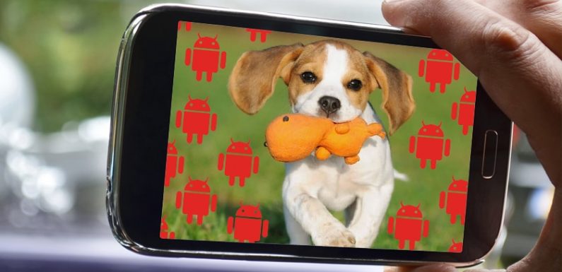 Android : une simple vidéo permet de pirater des millions de smartphones