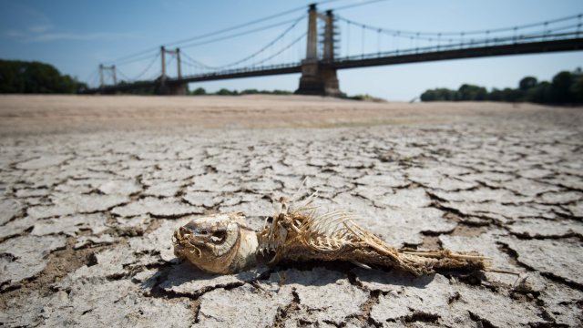 « Cet été extrême sera la norme dans quelques dizaines d’années »