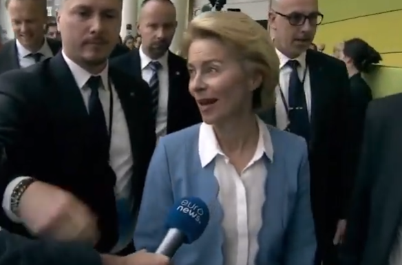 Commission européenne : la déception Ursula von der Leyen