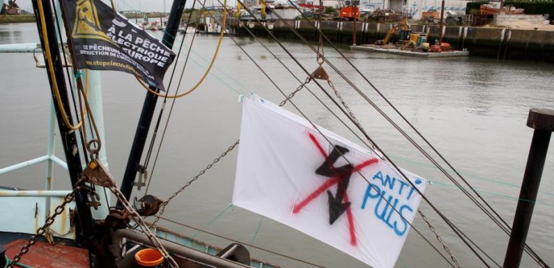 La pêche électrique est officiellement interdite dans les eaux françaises