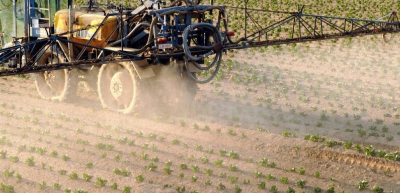 Bretagne: un maire devant la justice pour avoir interdit les pesticides près des habitations