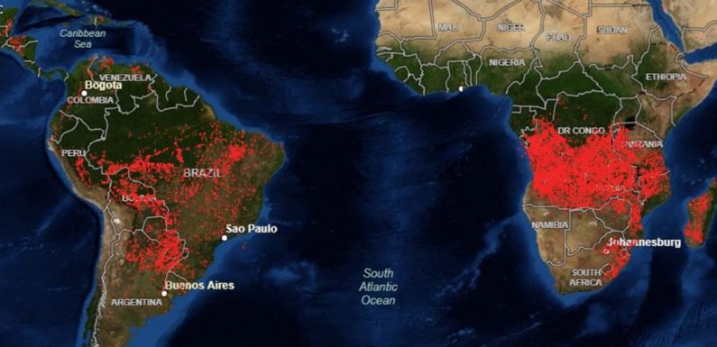 Feux de forêt en Amazonie : un prétexte pour s’en prendre à Jair Bolsonaro