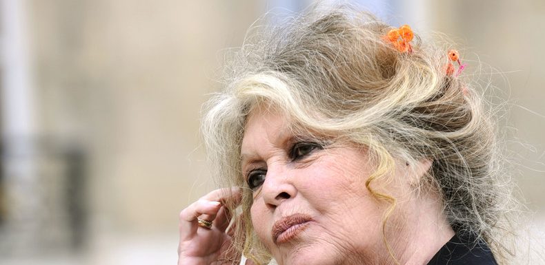 Brigitte Bardot demande à Edouard Philippe de supprimer le ministère de l’Ecologie