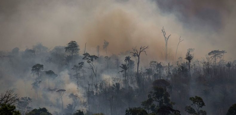 «La souveraineté du Brésil n’est pas négociable» : Bolsonaro accepte l’aide financière étrangère