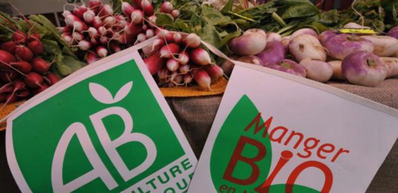 Bio : Les grandes surfaces vendent les fruits et légumes bio bien trop chers, révèle « Que Choisir »