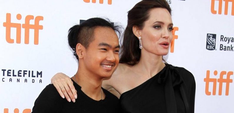 VIDEO. Angelina Jolie au bord des larmes… Une série va raconter la formation de BTS…