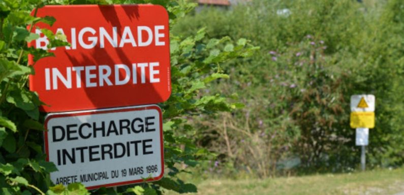 Saône-et-Loire: Attention à la leptospirose, potentiellement mortelle, quand vous vous baignez