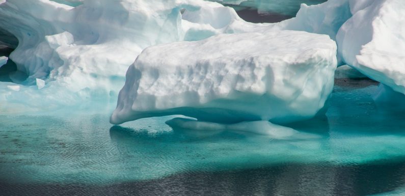 Arctique: Découverte d’un morceau de banquise truffée de microplastiques