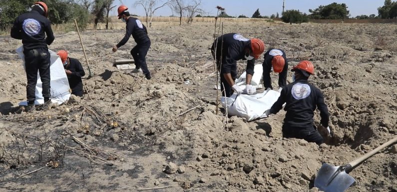 Syrie: L’Etat islamique promet d’intensifier ses attentats contre la coalition et les kurdes