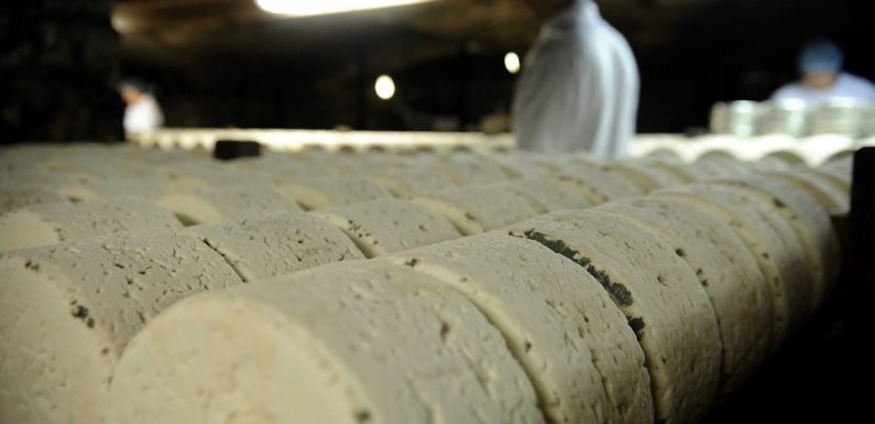 Salmonelles: Plusieurs de lots de Roquefort Société ont été retirés des magasins