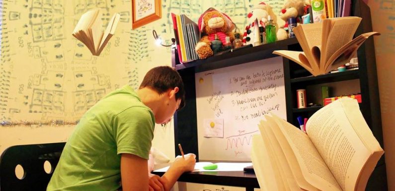 Etudes supérieures, lycée, collège… Quelles aides financières pour la rentrée?