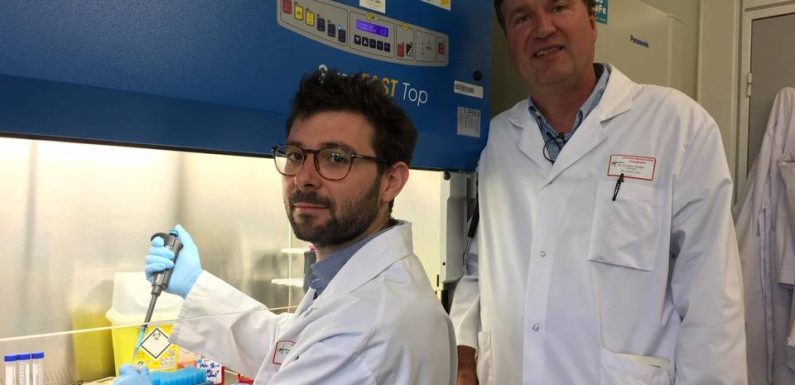 Strasbourg: «Le but, c’est de trouver d’ici cinq ans un médicament pour le cancer du foie», annoncent des chercheurs