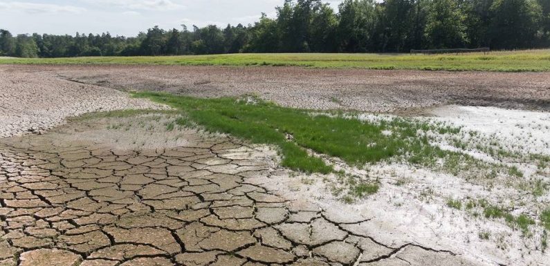 Sécheresse: Près de 100 communes placées en «crise» hydrologique dans le Gard