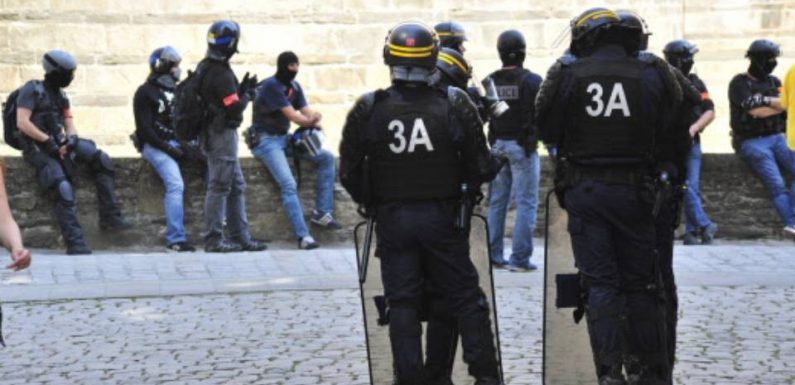 Pourquoi la police a-t-elle arraché son drapeau à un manifestant à Nantes?